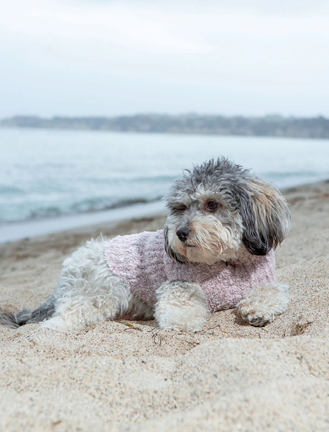 CozyChic® Ribbed Pet Sweater - Image 6