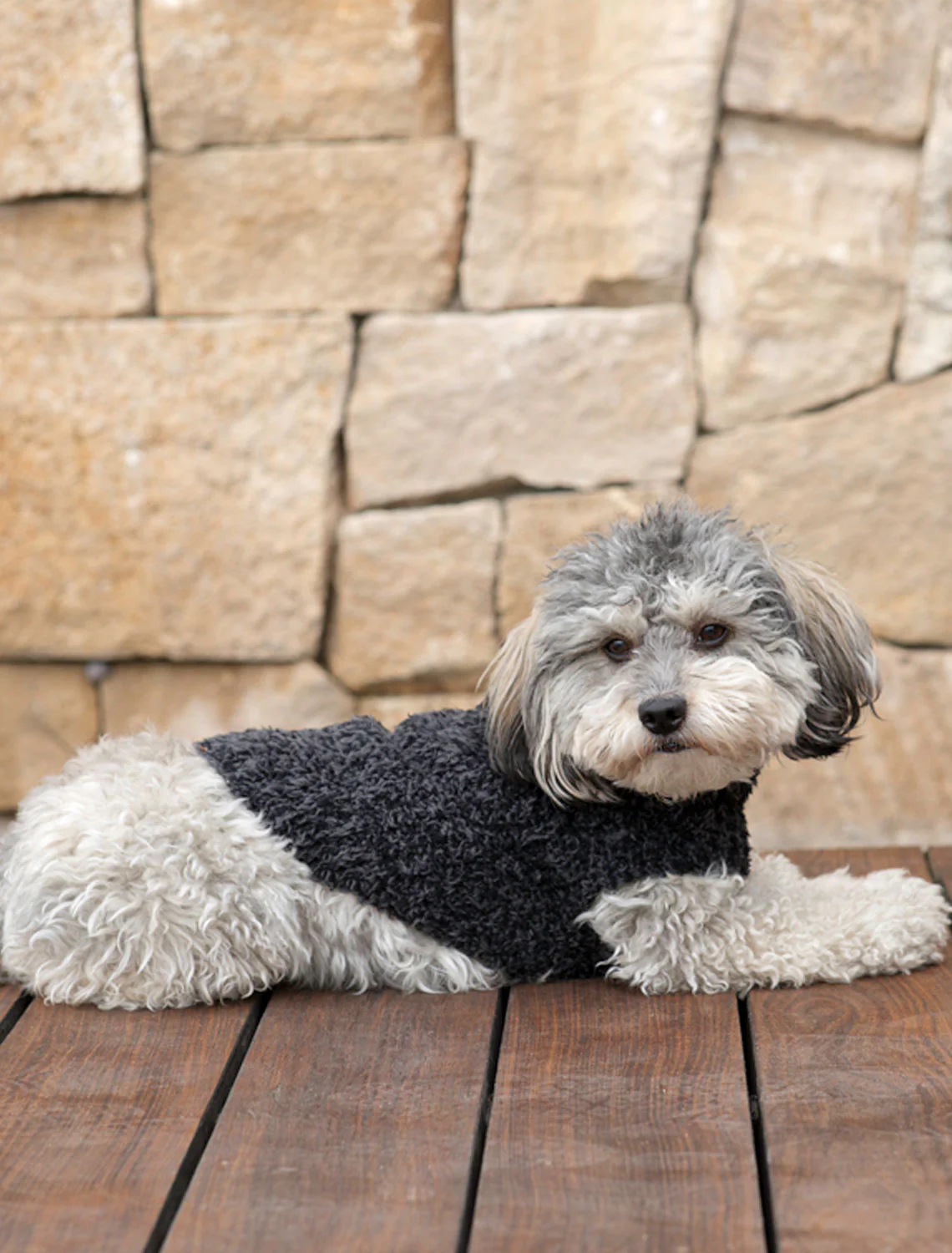 CozyChic® Ribbed Pet Sweater - Image 9