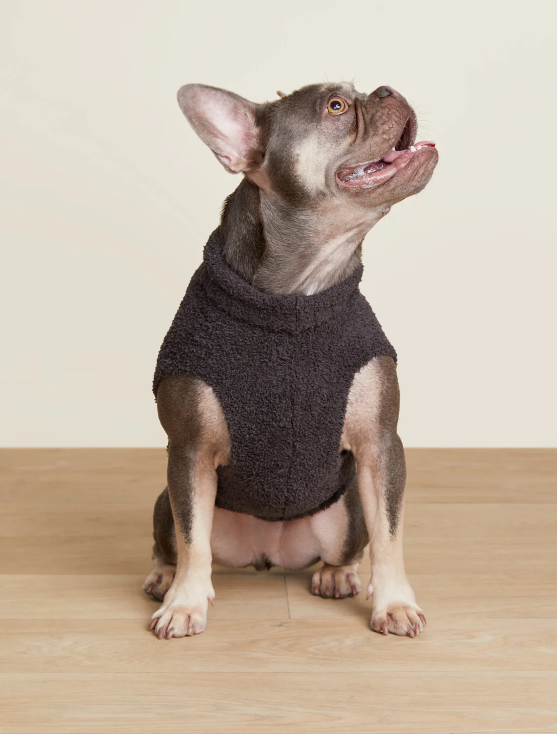 CozyChic® Skull Pet Sweater - Image 3