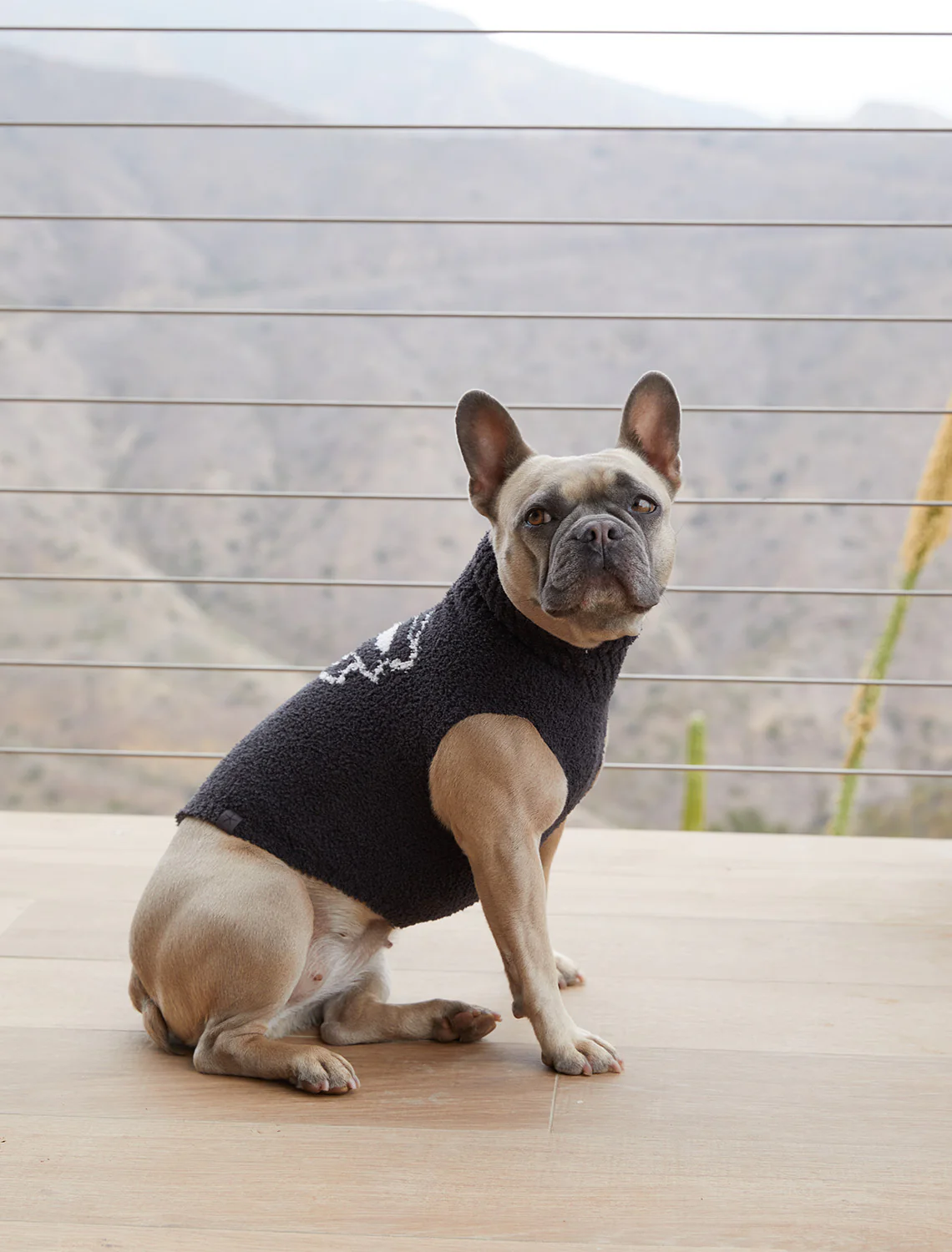 CozyChic® Skull Pet Sweater - Image 6